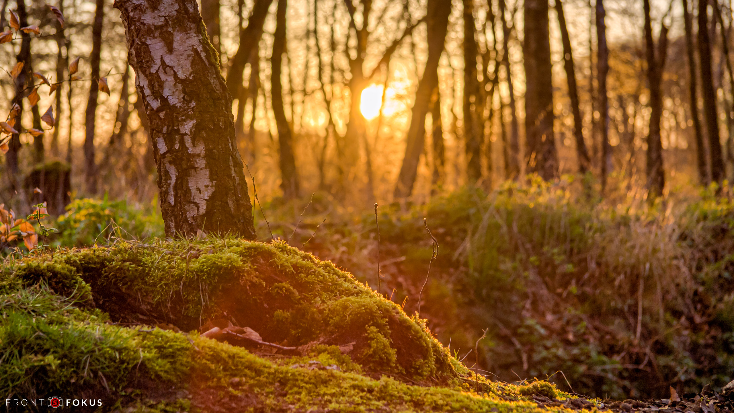 20140323 IMG 7835 HDR(3) Default